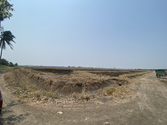 ขายที่ดินเปล่าบางปะกงฉะเชิงเทราติดถนนทางหลวง200 ขายที่ดินฉะเชิงเทรา