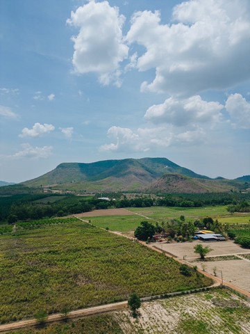 ที่ดิน ที่ดิน หนองหญ้าปล้อง จ.เพชรบุรี 27679 ตารางวา 49000000 บ.    ทำเลดี