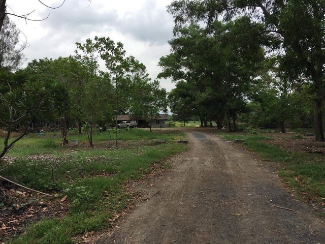 ขายที่ดิน บ่อปลา จำนวน101ไร่ รังสิต คลอง10 ต.บึงบา อ.หนองเสือ จ.ปทุมธานี