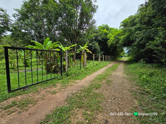 ที่สวนแถมบ้าน 3 หลังพร้อมโรงจอดรถและห้องเก็บของเนื้อที่ 3 ไร่ 60 ตรว. พร้อมสิ่งปลูกสร้าง บรรยากาศดี ร่มรื่นต.ศรีกระอางค์ อ.บ้านนา จ.นครนายกราคายกแปลง 5.4 ล้าน ลดเหลือ 4.5 ล้าน (เฉลี่ยไร่ละ 1.43 ล้าน) ที่เปล่าแถบนี้ราคาเฉลี่ยไร่ละ 1.5 ล้าน เหมือนซื้อที่แถมบ้าน 3 หลังโฉนดครุฑแดง บรรยากาศร่มรื่น เงียบสงบ ข้างๆมีสถานธรรม และเพื่อนบ้านไม่จอแจวุ่นวายเหมาะสำหรับคนรักสันโดษ 