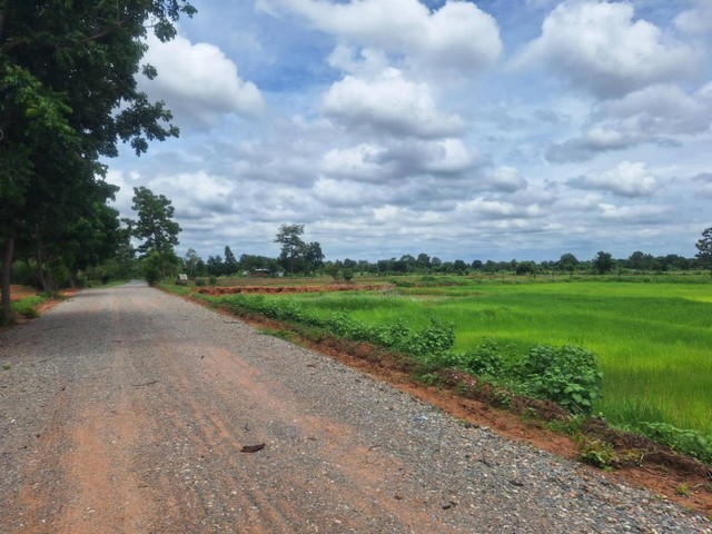 ขายที่ดิน พร้อมบ้าน อำเภอบัวใหญ่ จังหวัดนครราชสีมา พื้นที่ 13 ไร่ 88 ตารางวา โฉนดครุฑแดง