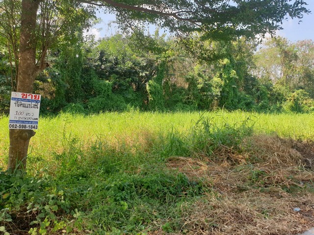 พื้นที่ดิน - ขนาดพื้นที่ 10 ตารางวา  1000000 BAHT เ ยี่ ย ม! ปทุมธานี