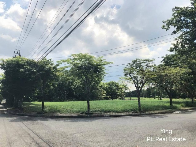 LS1013 ขายที่ดิน ในสนามกลอฟ์ มบ.Lake Wood บางพลี ด้านหลังติด Tee Off วิวสวยสอบถามรายละเอียดเพิ่มเติม ติดต่อ : คุณหญิงโทร : 064-345-9870Line : 0643459870 /คลิกที่นี่  https://line.me/ti/p/Xogs_U3_3SLS1013 ขายที่ดิน ในสนามกลอฟ์ มบ.Lake Wood บางพลี ด้านหลังติด Tee Off วิวสวยพื้นที่ 1ไร่ 77ตรว. หรือ 477 ตารางวา วิวสวย ด้านหลังของที่ดินเป็น Tee Off บรรยายกาศดี วิวโล่ง ปัจจุบันเป็นที่ดินเปล่าราคา 15 ล้านบาท***ค่าใช้จ่ายวันโอนออกคนละครึ่งติดต่อ : 