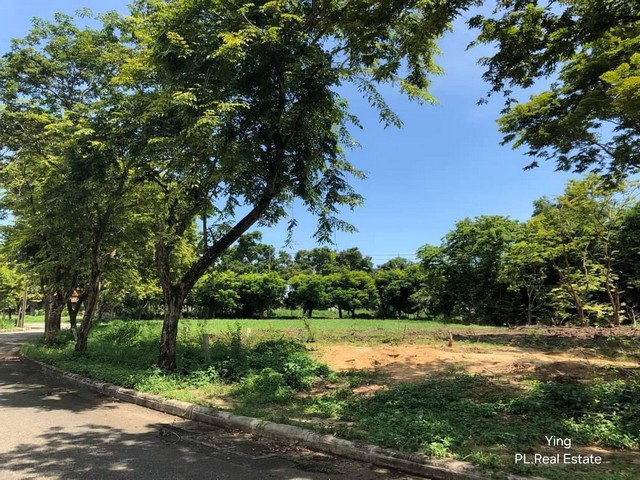 ต้องการขายที่ดิน ในสนามกลอฟ์ หมู่บ้าน Lake Wood บางพลี ด้านหลังติด Tee Off วิวสวย