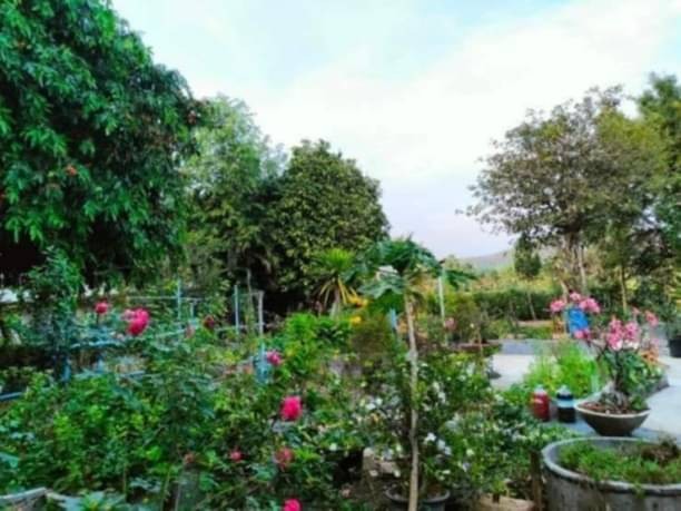 ขาย 11.5 ล้าน บ้านล้อมด้วยธรรมชาติ ที่คุณตามหา แม่โป่ง ดอยสะเก็ด เชียงใหม่ บ้านสไตล์วิลล่า 4 หลัง ที่ดินกว่า 4 ไร่ น้ำดีตลอดปี