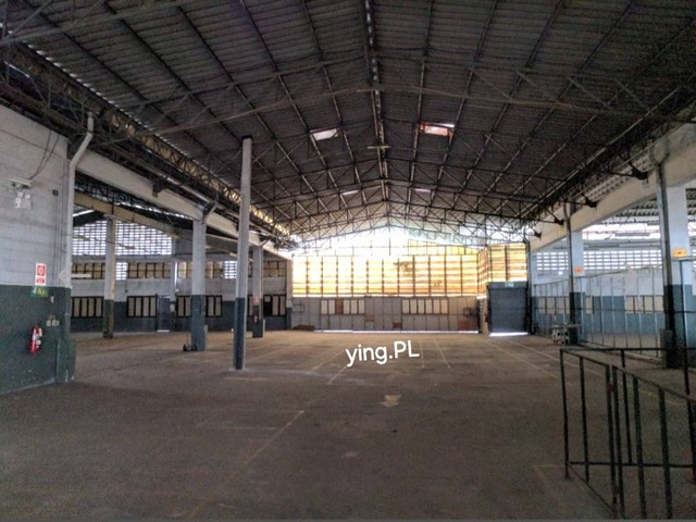 WR1019 ให้เช่าโกดังและออฟฟิศ ซอยลาซาล สำโรง แบ่งเช่าได้ ทำเลดี ใกล้ BTSโทร : 064-345-9870Line : 0643459870 /คลิกที่นี่  https://line.me/ti/p/Xogs_U3_3SPL. Real Estate BrokerWR1019 ให้เช่าโกดังและออฟฟิศ ซอยลาซาล สำโรง แบ่งเช่าได้ ทำเลดี ใกล้ BTSพื้นที่ 6ไร่ 327 ตารางวา เนื้อที่ภายในอาคาร ประมาณ 7,700 ตารางเมตรมีส่วนโกดังแยกต่างหาก สามารถใช้เก็บสินค้าได้มีหม้อแปลงไฟ 3 เฟส ให้ แต่ต้องยื่นขอใช้ใหม่รับน้ำหนักได้เยอะ เพราะเป็นโรงงา�