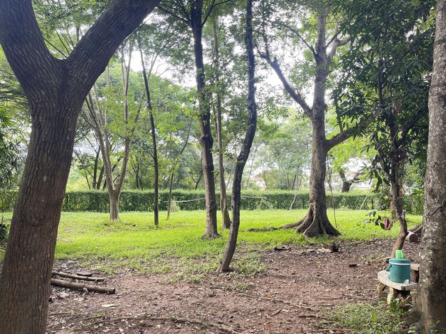 ที่ดินอ.เมือง แปลงสวย น้ำไหลผ่านที่ดิน ต้นไม้ใหญ่ร่มรื่น บรรยากาศส่วนตัว