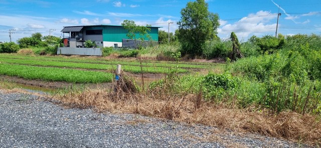 ที่ดินคลองสี่ คลองหลวง ปทุมธานี ที่ดินทำเลดีทอง ที่ตั้งดี เหมาะสำหรับซื้อไว้ สร้างโกดังเก็บของ ไว้ทำสวนขนาดย่อม สร้างบ้านไว้อยู่อาศัย หรือ ซื้อเก็บไว้เกร็งกำไรได้ ที่ดินขนาด 200 ตารางวา ราคา 1,280,000 บาทที่ติดถนนลูกรัง กว้าง 8 เมตรที่ดินอยู่ใกล้กับตลาดไทไม่กี่กิโลเมตร สามารถเดินทางได้สะดวกสนใจติดต่อสอบถามหรือนัดดูแปลงโทร/ไลน์  0972387589 และ 0939872490 ธนัชพร