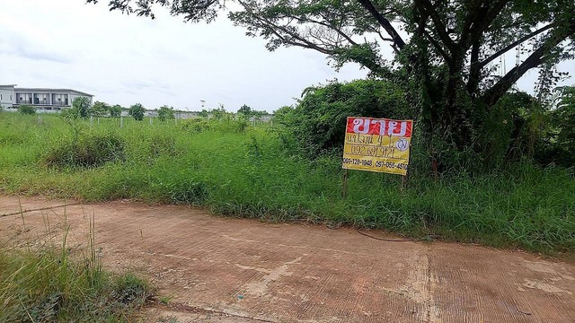 ขายที่ดินสวย 4 ไร่  ถ.นเรศวร ใกล้สนามบิน  ต.หมากแข้ง อ.เมืองอุดรธานี จ.อุดรธานี     ZE686