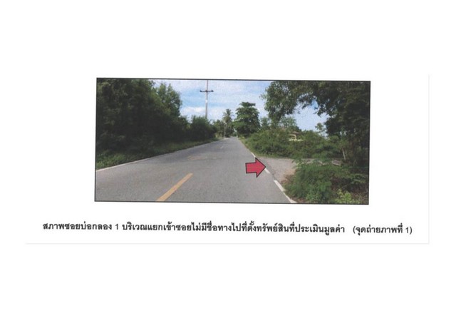 ขายบ้านเดี่ยวมือสอง อำเภอสิงหนคร  จังหวัดสงขลา