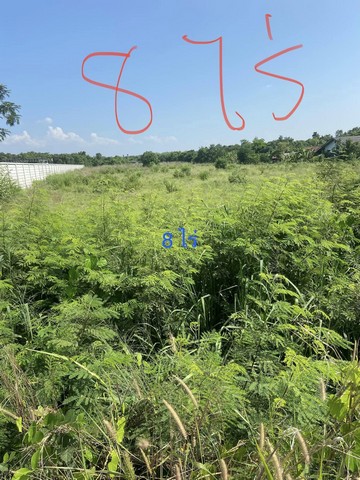 LSG70 ขายที่ดิน 8ไร่ แปลงยาว ฉะเชิงเทรา ติดถนน เหมาะทำโรงงาน โกดัง ราคา3.2ล้านบาท/ไร่ พื้นที่สีม่วงสนใจติดต่อ : คุณสราวุฒิ Tel. 0994108945 Line : 0994108945ขายที่ดิน 8ไร่ เหมาะทำโรงงาน โกดัง หอพักให้เช่า 8ไร่ หน้ากว้าง 55 เมตร ลึก244 เมตรติดถนนหลัก พื้นที่สีม่วงใกล้นิคมเกตเวย์ (แปลงยาว จ.ฉะเชิงเทรา) ถนน331 และถนน3315ราคา3.2ล้านบาท/ไร่รวมราคา 25,600,000 บาทตำบล แปลงยาว อำเภอแปลงยาว ฉะเชิงเทรา 24190สนใจติดต