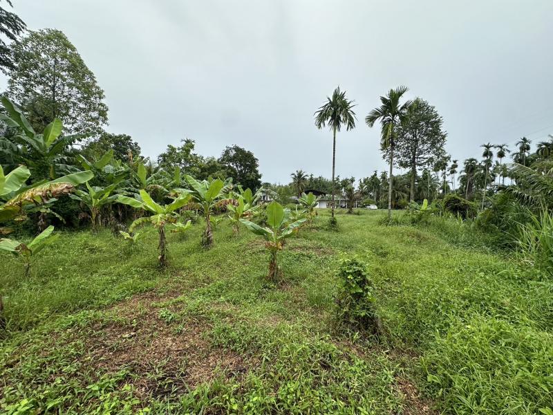 ขายที่ดินเปล่า 2 ไร่ 3 งาน 28 ตรว. ต.ตาขัน อ.บ้านค่ายขายเนื่องจาก เจ้าของมีปัญหาทางสุขภาพ ต้องการลดภาระการดูแลและแบ่งปันมรกดให้ครอบครัวราคาเปิดที่ 4,230,000 บาท หรือ 3,750 บาท/ตรว.  ( สามารถต่อรองได้ )พิเศษ! ราคาเหมายกแปลง  3,384,000 บาท หรือ 3,000 บาท/ตรว.โฉนดที่ดินมีทั้งหมด 3 แปลง ขายไร่ละ 1,500,000  บาท ราคาเหมา เหลือ ไร่ละ 1,200,000 บาทที่ดินมีถนนสาธารณะมีทางน้ำไหลไฟฟ้าเข้าถึงใกล้ถนนคลองขุดใ