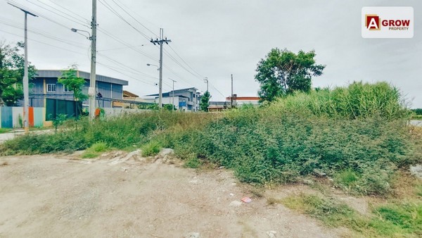 ที่ดินเปล่าถมแล้วบางเพรียง บางบ่อสมุทรปราการ เนื้อที่ 243 ตร.ว.