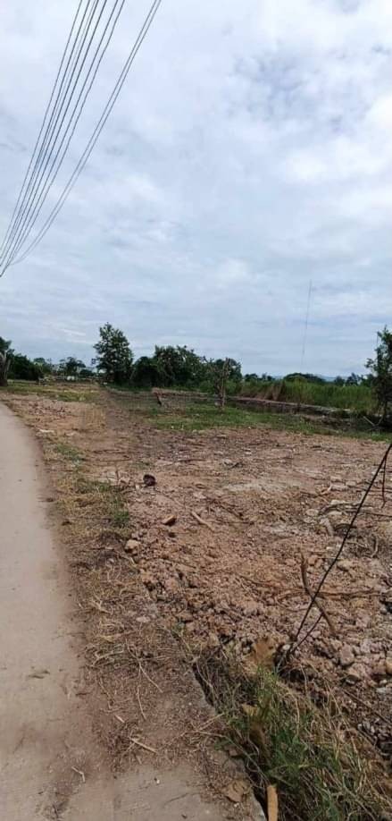 ที่ดินติดถนน ตรว.ละ 6,500 บาท 1 ไร่ 3 งาน 75 ตรว. สันทรายหลวง สันทราย น้ำ ไฟฟ้าครบ หน้ากว้างติดถนนคอนกรีตประมาณ 60 เมตร