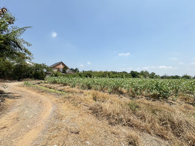 ขายที่เปล่าติดถนนดอนไก่ดี ที่เปล่ากระทุ่มแบนสมุทรสาคร