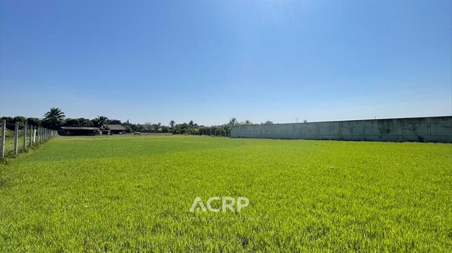 ขายที่ดินพร้อมสิ่งปลูกสร้าง ต.แม่แฝกใหม่ อ.สันทราย จ.เชียงใหม่ ขนาดที่ดิน 2-0-90 ไร่ หน้ากว้าง-ลึกประมาณ 13x130 เมตร อยู่ในแหล่งชุมชน ไม่ไกลเมืองมาก ท่ามกลางทุ่งนา วิวธรรมชาติ ห่างจากถนนสายเชียงใหม่-พร้าวและตลาดเจดีย์แม่ครัว 1.1 กม. เดินทางจากตัวเมือง 35 นาที  เหมาะสำหรับทำบ้านพักอาศัย บ้านพักตากอากาศ โฮมออฟฟิศขาย 7,832,000 บาท (ตารางวาละ 8,800 บาท) (รหัสทรัพย์ L-670120-0002)Contact Us+66 (0)88 268 2000info@a