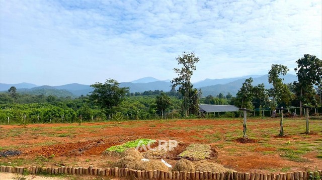 ขายที่ดินวิวดอยล้อมรอบ ต.บ้านเป้า อ.แม่แตง จ.เชียงใหม่  7-3-48 ไร่