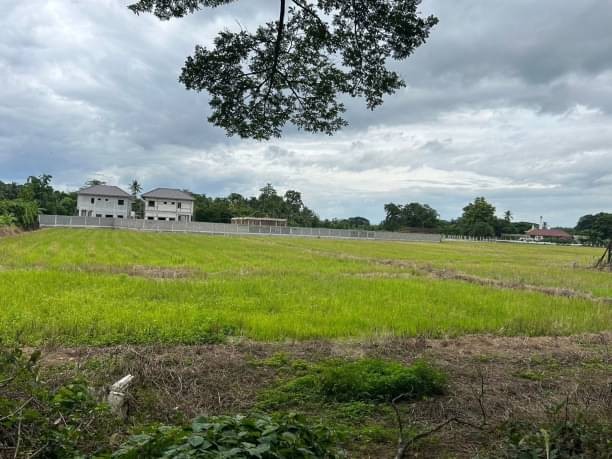 ผังสีเหลือง โซนสันทราย ขายที่ดินตรว.ละ 11,000 บาท เนื้อที่รวม 4 ไร่ วิวทุ่งนาสวย บรรยากาศดี เหมาะสำหรับสร้างบ้านขาย บ้านพูลวิลล่าได้