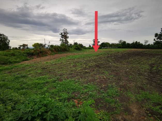 ขายที่ดินทำเลทอง ติดถนนลาดยาง ต. ดอนดึง อ.บ้านหมี่​ จ.ลพบุรี 15110