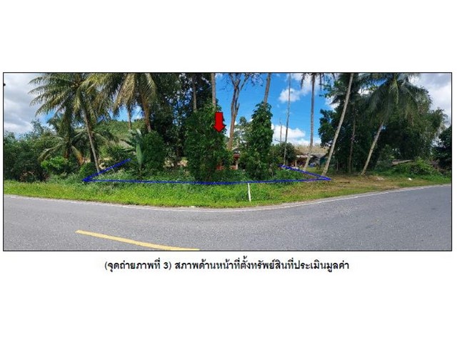 ขายบ้านเดี่ยวชั้นเดียวมือสอง อำเภอเทพา จังหวัดสงขลา