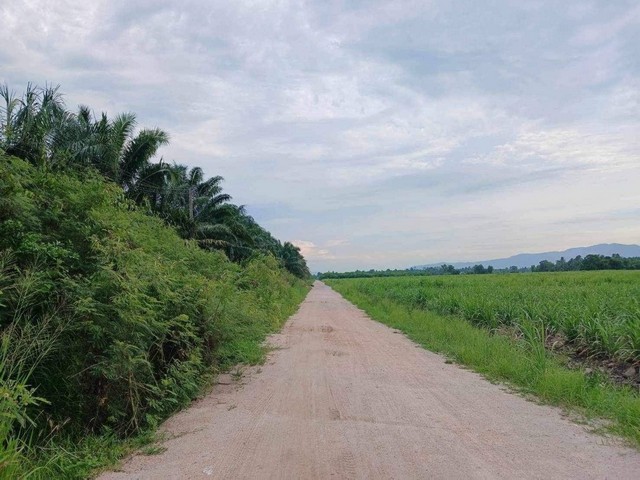 #ขายที่ดินพนัสบ้านบึงชลบุรี#ขายที่ดินหนองบอนแดงบ้านบึงชลบุรี#ผังสีเหลือง????​สร้างโรงงาน, โกดัง​, หมู่บ้านได้✴️​ที่ดิน 49ไร่3งาน50ตรว.♨️ราคาไร่ละ 1.5 ล้าน(เพื่อความสะดวกในการเข้าชมนัดล่วงหน้า​1​ วัน)สนใจติดต่อ/นัดชม☎️081-4590982​ ลฎา☎️098-9955449AddLine​: lada2445ดูทรัพย์​เพิ่มกด????https://www.facebook.com/profile.php?id=100063539531124#ขายที่ดินหนองตำลึง​#ขายที่ดินวัดศรี​#ขายที่ดินพานทอง​#ขายที่ดินมาบไผ่​#ขายที่ดินบ