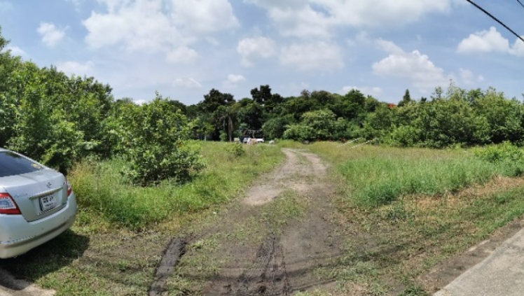 ขายที่ดิน 544 ตรว ซ.บรมราชชนนี 64 ศาลาธรรมสพน์ 13 ใกล้ตลาดสดธนบุรี