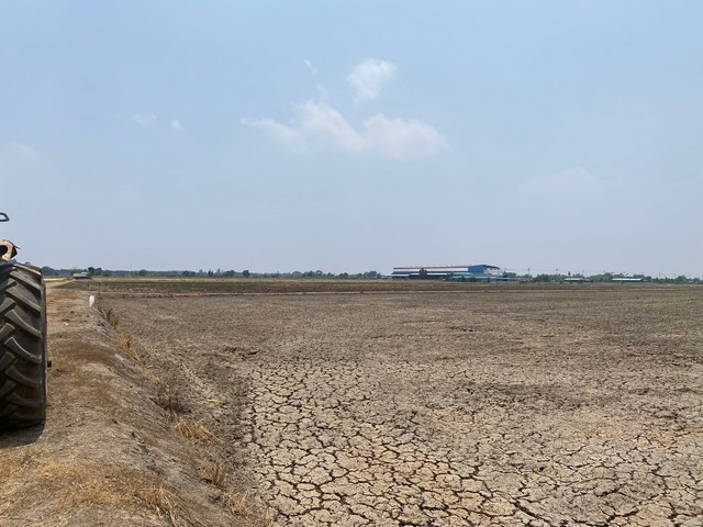 ขายที่ดิน 6 ไร่ แปลงสวยสี่เหลี่ยม ติดถนนกว้าง 10 เมตร รถคอนเทนเนอร์ เข้าออกได้สะดวก เขต EEC อ.เมือง ฉะเชิงเทรา  ผังสีม่วงจุดสีขาว