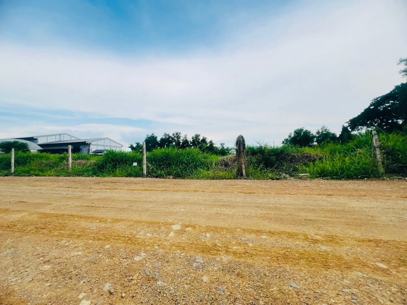 ขายที่ดิน 2 แปลง แปลงละ 1 ไร่ ซ.บึงบอน21,23 หนองเสือขายที่ดิน 2 แปลง แปลงละ 1 ไร่ (ตามรูป)แปลงละ 1 ไร่ ริมถนนซอยบึงบอน 21 และริมถนนซอยบึงบอน 23ตารางวาละ 4,250 บาททั้ง 2 แปลงกว้างประมาณ 35 เมตร ลึกประมาณ 45 เมตรแปลงรูปสีเหลี่ยมผืนผ้าที่ดินฝั่งซอยบึงบอน 21 หันหน้าทางทิศใต้ ที่ดินติดกับโรงงาน บริษัท ท็อปเพ้นท์ เพอร์เฟค จำกัดถนนผ่านหน้าที่ดินกว้างประมาณ 3 เมตรห่างจากถนนเลียบคลองแ