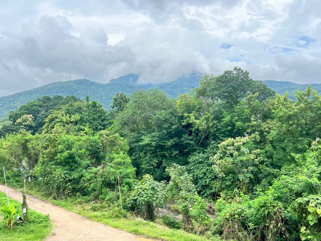 ที่ดินริมแม่น้ำ....วิวดอยภูคา......เนื้อที่ 11 ไร่ 3 งาน 54 ตารางวา...โฉนด น.ส.4จ. , น.ส.3ก. และ น.ส.3ต.ศิลาเพชร  อ.ปัว จ.น่าน ...-ใกล้ชุมชน-ใกล้ถนนสายปัว - บ่อเกลือเหมาะสำหรับ• ที่พัก รีสอร์ท บ้านพักตากอากาศ• บ้านสวน สวนเกษตร เกษียณ... ตร.ว.ละ 3,575 บาท  หรือ 17 ล้าน*  ...สนใจสอบถามข้อมูลเพิ่มเติม ⁨089 884 7187⁩ ยินดีบริการทุกท่านครับ