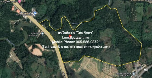 รหัส  DSL-367 ขายด่วน ๆ ที่ดิน ที่ดิน ทุ่งมะพร้าว อ.ท้ายเหมือง จ.พังงา 36 RAI 2 ngan 23 ตร.ว.  91396250 BAHT  ทำเลดี