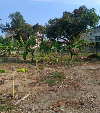 ที่ดินทำเลทอง ราคาขึ้นปีละล้าน ติดโรงแรม ต.ช้างเผือก ใจกลางเมืองเชียงใหม่  อ.เมืองเชียงใหม่