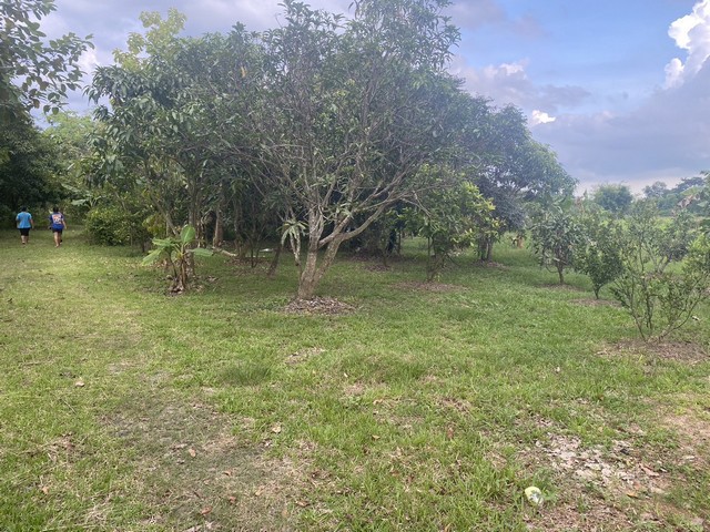 ที่ดินพร้อมบ้าน 2 ไร่ ตำบล หนองแสง อำเภอ ปากพลี จังหวัด นครนายก