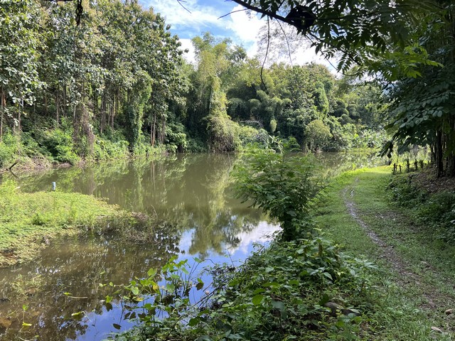 ที่ดินวิวสวยมาก....ทางขึ้นดอยภูคา....ติดแหล่งท่องเที่ยวชื่อดัง อ.ปัว