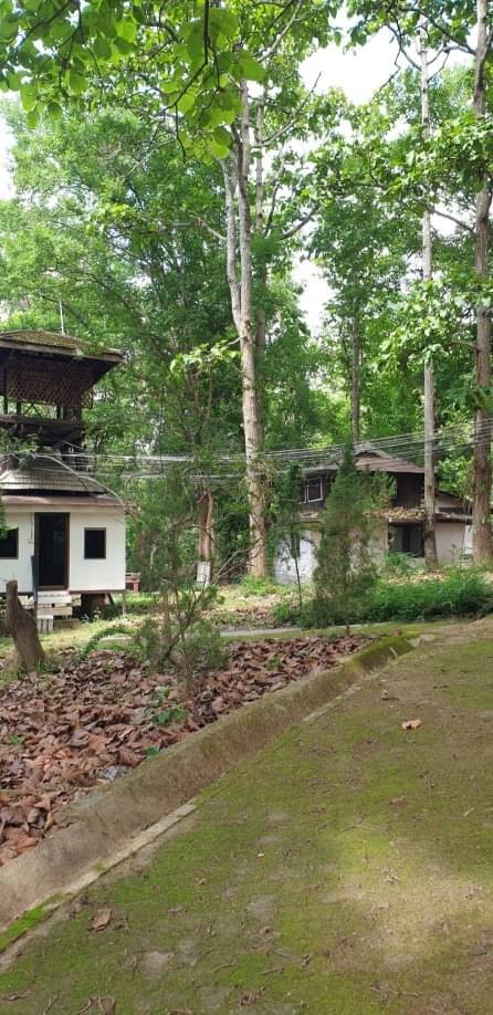 สวยสงบ ร่มเย็น​สุดๆ โซนแม่ริม 17 ล้าน 7-1-89 ตรว. แม่แรม ทำเลดี เป็นเนินสวยงาม ร่มรื่น ด้วยต้นไม้ขนาดใหญ่ อาคารบ้านพัก 5-6 หลัง น้ำ ไฟ พร้อม