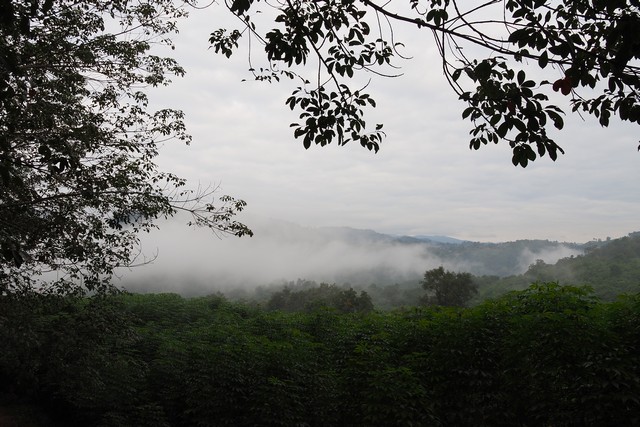 ที่ดินริมแม่น้ำน่านวิวภูเขา บรรยากาศท่ามกลางธรรมชาติ อ.ทุ่งช้าง จ.น่าน