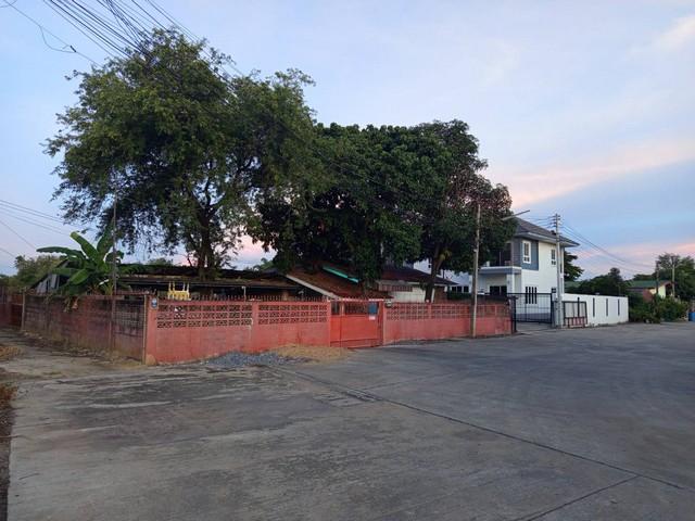 ขายที่ดินแปลงเล็ก ซอยข้างโรงงานเบียรช้างสหพัฒน์ ตำบลบ่อพลับ อำเภอเมืองนครปฐม