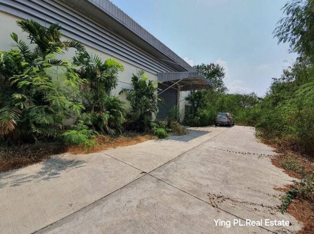 WR1028 ให้เช่าโกดัง/โรงงาน ลำลูกกา คลอง 8 รถ 10 ล้อ เข้า-ออก ได้ ติดต่อ : คุณหญิงโทร : 064-345-9870Line : 0643459870 /คลิกที่นี่  https://line.me/ti/p/Xogs_U3_3SWR1028 ให้เช่าโกดัง/โรงงาน ลำลูกกา คลอง 8 รถ 10 ล้อ เข้า-ออก ได้ พื้นที่โกดังรวม 400 ตรม. ขนาด โกดัง/โรงงาน 252 ตรม.ขนาดสำนักงาน 144 ตรม.พื้นที่โกดังยกสูงรองรับน้ำหนักได้ วางเครื่องจักรได้ไฟขนาด 160 kvlมีพื้นที่วางด้านหลังโกดังอีก 100 ตรว. สามารถเช่าเพิ่มได้(ราคาคุยกันได้)