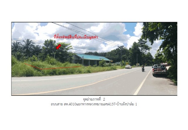 ขายที่ดิน อำเภอมะนัง จังหวัดสตูล