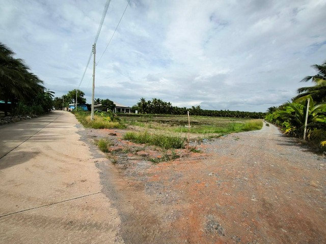 ขายที่ดินบ้านแพ้ว  6-3-94 ไร่  ซ.เทศบาล4    ต.เกษตรพัฒนา   อ.บ้านแพ้ว จ.สมุทรสาคร   ZW425