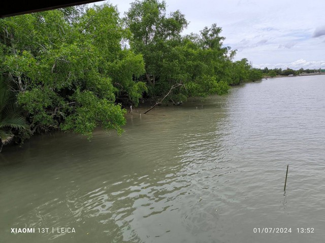 ขายที่ดินติดริมน้ำแม่กลอง 10-2-66 ไร่ ถ.แหลมใหญ่  ต.แหลมใหญ่  อ.เมือง  จ.สมุทรสงคราม  ZW411