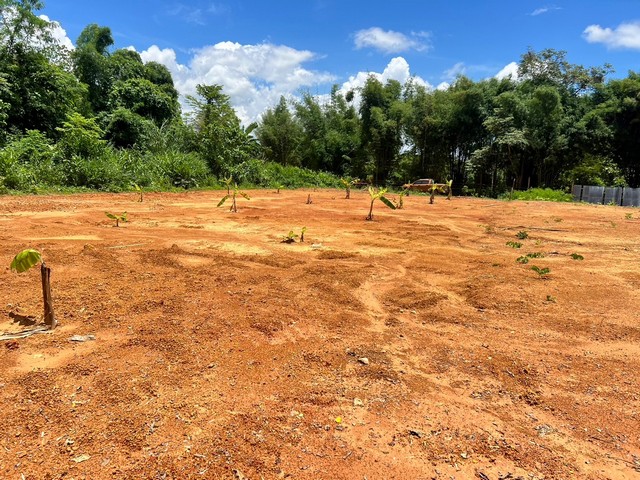 ที่ดินทำเลทอง ใกล้บิ๊กซี เดินทางสะดวก ตอบโจทย์ทุกไลฟ์สไตล์ สร้างบ้านและธุรกิจของคุณ......ที่ตั้ง ต.ไชยสถาน อ.เมือง จ.น่าน......เนื้อที่ 200 ตารางวา...โฉนด น.ส.4จ. พร้อมโอน  ตร.ว.ละ 5,000 บาท... 2 ล้าน*....ค่าโอนฝ่ายละครึ่ง...สถานที่ใกล้เคียง- บิ๊กซีน่าน- ตลาดสดปางค่า- ไทยวัสดุ- โกบอลเฮ้าส์- วัดภูมินทร์- ถนนคนเดิน- โลตัสน่าน- ถนน ไฟฟ้า ถึงหน้าแปลงเหมาะสำหรับ- บ้านพักอาศัย - ลงทุน อื่น ๆ  สน