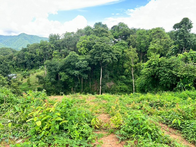 ที่ดินวิวธรรมชาติ มีต้นไม้ล้อมรอบ อากาศบริสุทธิ์ ห่างไกลจากความวุ่นวาย สวรรค์ส่วนตัวของคุณรออยู่แล้วที่นี่!!! ......ที่ตั้ง ต.เชียงกลาง  อ.เชียงกลาง  จ.น่าน ห่างจากถนนทางหลวงแผ่นดิน (เชียงกลาง- ทุ่งช้าง - เฉลิมพระเกียรติ) 2.5 ก.ม. ใกล้ด้านห้วยโก๋นไทย-ลาว เพียง 50 ก.ม. (ด่านสากลไทย-ลาว) ใกล้ด่านศุลกากรทุ่งช้าง เพียง 25 ก.ม. ปัจจุบันเป็นเส้นทางการค้าระหว่างประเทศ และการท่อง