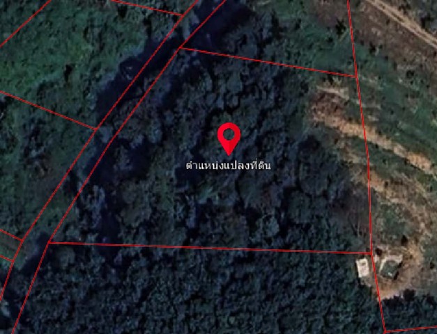 ที่ดินวิวธรรมชาติ มีต้นไม้ล้อมรอบ อากาศบริสุทธิ์ ห่างไกลจากความวุ่นวาย สวรรค์ส่วนตัวของคุณรออยู่แล้วที่นี่!!! ...