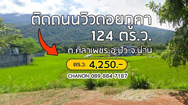 ที่ดินติดถนนใหญ่วิวดอยภูคาโฉนด นส.4จ พื้นที่ 124 ตร.ว. ที่ตั้ง ต.ศิลาเพชร  อ.ปัว  จ.น่าน ...- ติดถนนปัว-ศิลาเพชร-บ่อเกลือ (ทางหลวงแผ่นดิน 1081 ปัว-หลักลาย)  - เป็นที่ดินเปล่าติดถนน- ไฟฟ้า ประปาหน้าแปลง- ที่ดินห่างจากตัวอำเภอปัว 16 กม. - ใกล้ถนนสายหลักปัวบ่อเกลือ ใกล้ที่พัก ร้านอาหารและคาเฟ่ ปั้มน้ำมัน เดินทางสะดวกสบายหลายเส้นทาง- ห่างจากตัวเมือง 60 กม....ตร.ว.ละ 4,250 บาท.  1.7 ล้าน* (ค่าโ