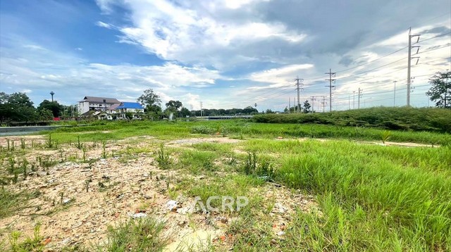 ขายที่ดินแปลงสวย ต.ไชยสถาน อ.สารภี จ.เชียงใหม่ ขนาด 150 ตร.ว.