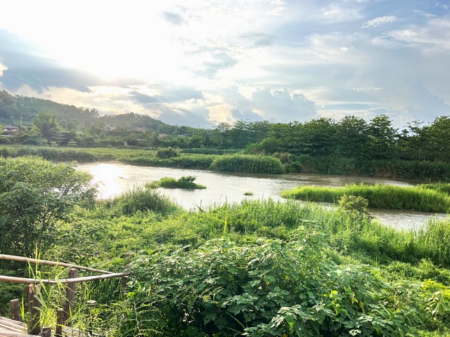 ขายที่ดินแปลงสวย 11-2-0 ไร่  ติดแม่น้ำน่าน บรรยกาศดีใกล้ชิดธรรมชาติ ด้านหน้าติดน้ำ ด้านหลังติดถนนสาธารณะ ห่างจากถนนสายหลัก 101 (เวียงสา-น่าน) 500 ม. ตั้งอยู่ในระหว่างเขต อ.เวียงสา-และ อ.เมืองน่าน ซึ่งไม่ไกลจากตัวเมืองน่าน ไฟฟ้าอยู่หน้าแปลง น้ำประปา ครบ มีบ้านใกล้เคียงไม่เปลี่ยว ปลอดภัย ใกล้สถานศึกษา วิทยาลัยการอาชีพเวียงสา- ถนนดินอัดจากถนนปูนประมาณราคาไร่ละ 6.5 แส