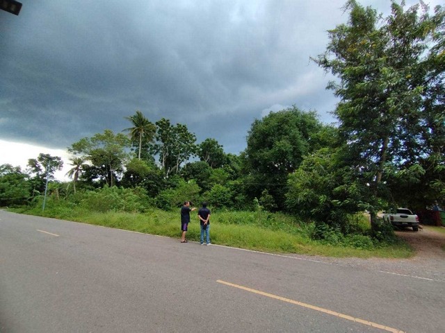 ขายที่ดิน 4-0-13 ไร่  ถนนสร้างตนเอง2  ต.มะขามเตี้ย อ.เมือง จ.สุราษฎร์ธานี   ZST205