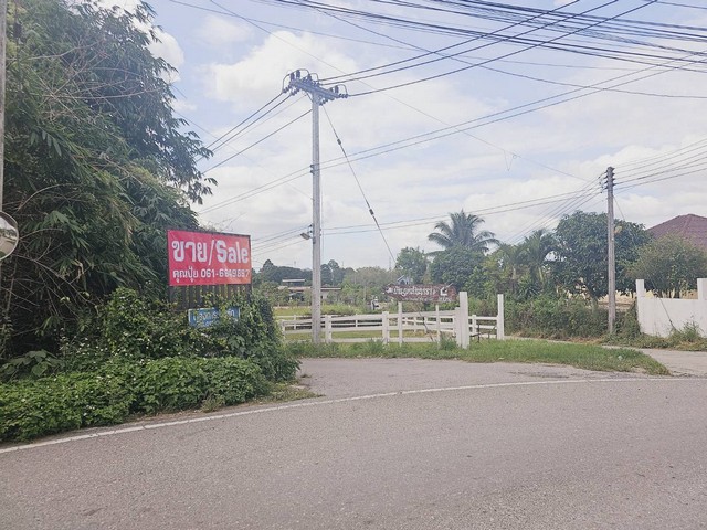 ขายที่เปล่าปากช่อง  ปากทางขึ้นเขาใหญ่ ห่างถ.มิตรภาพเพียง 600 เมตร