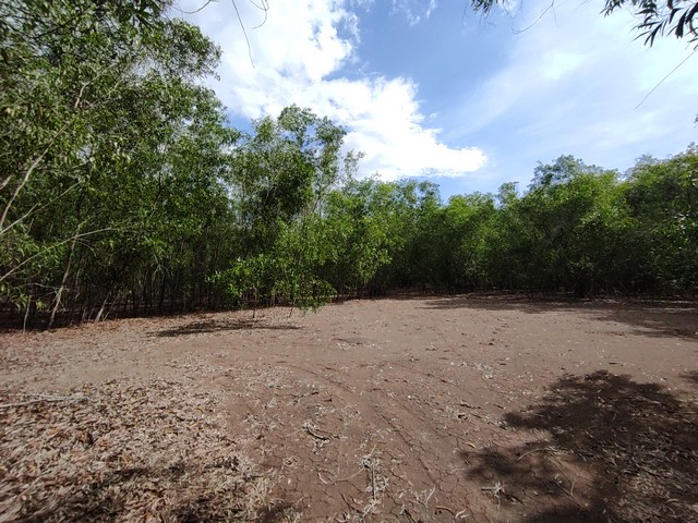 ขายที่ดินทำสวนเกษตร คลอง 3 ถมแล้ว เดินทางสะดวกใกล้กรุงเทพหมู่บ้านคันทรี่การ์เด้นคลองสาม คลองหลวง ปทุมธานีรายละเอียดที่ดิน- ขนาด 2-2-70 ไร่ ถมแล้ว- กว้างยาว ประมาณ 40x78 เมตร- ที่ดินริมน้ำ บรรยากาศเงียบสงบ- โฉนดครุฑแดงพร้อมโอน- ขายเพียง 5,885,000 บาท (5,500 บาท/ตรว.)- ทำเลใกล้กรุงเทพ เหมาะกับคนกรุงที่อยากทำบ้านสวนเกษตร ราคามิตรภาพใกล้ทุกความสะดวก- วัดธรรมกาย, ตลาดไท- Makro คลองหลว