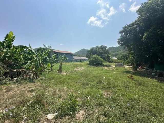 TEL :088-559 5199 คุณเอLine: https://line.me/ti/p/C0eGe0whLXขายที่ดิน ใจกลางเมืองศรีราชาพิกัด ถนนเก้ากิโล - ศรีราชา ตารางวาละ 20,000 บาท(ราคาทั้งแปลง 17.28 ล้านบาท)เนื้อที่ขนาด 2-0-64 ไร่ที่ดินเหมาะแก่การสร้างบ้านเพื่ออยู่อาศัยพื้นที่ใกล้เคียง - เซ็นทรัลศรีราชา - โรงเรียนเซนปอล - บ้านเอื้ออาธร - ที่ติดวิวเขา - ใกล้สถานีรถไฟ - มีทางเข้าออกหลายทางหนองยายบู่ - ตลาดวรกิจ - สถานีรถไฟหลังโรงเรียนอัสสัมชัญศรีร